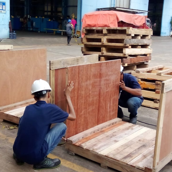 Packing service IMS